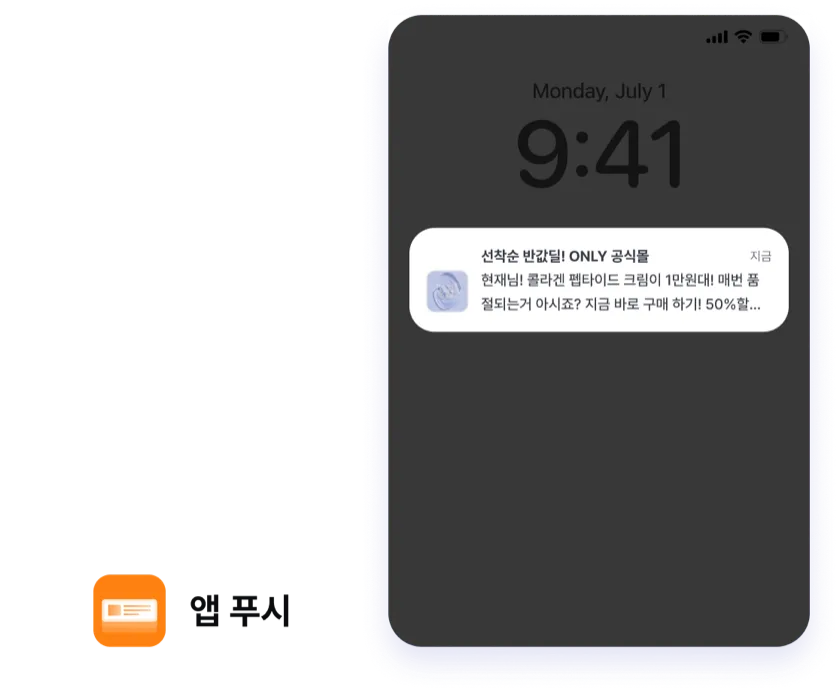 앱 푸시 채널